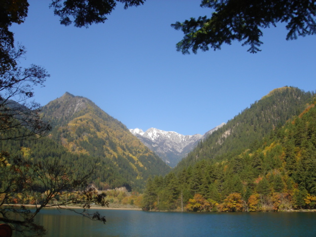 DSC00895.JPG