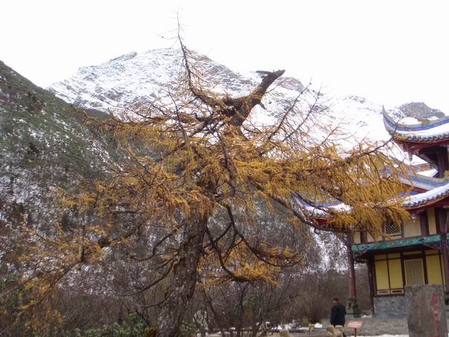 调整大小 DSC00705.JPG
