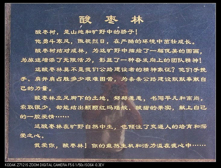 115_1766_缩小大小.JPG