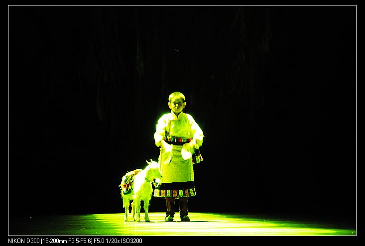 nEO_IMG_照片 719.jpg