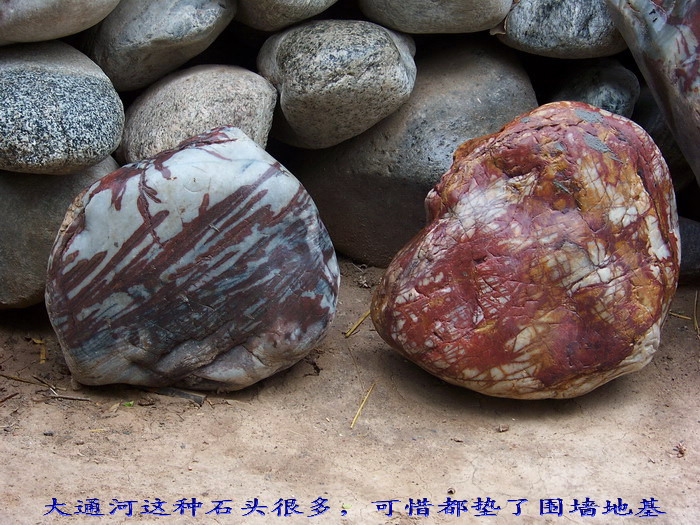 115_1982_缩小大小.jpg