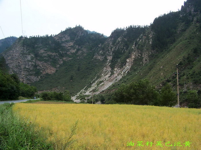 115_2003_缩小大小.jpg