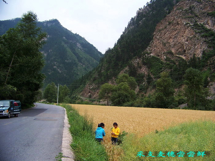 115_2014_缩小大小.jpg