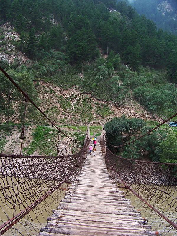 115_2050_缩小大小.JPG