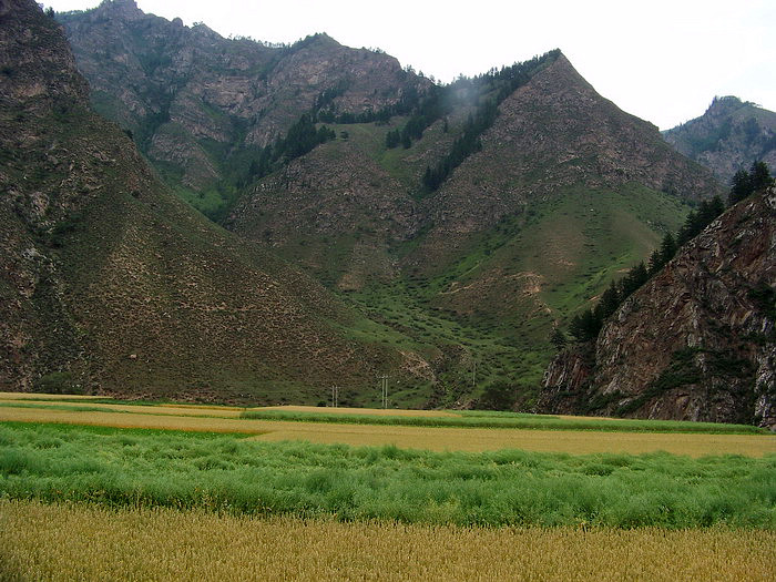 115_2060_缩小大小.JPG