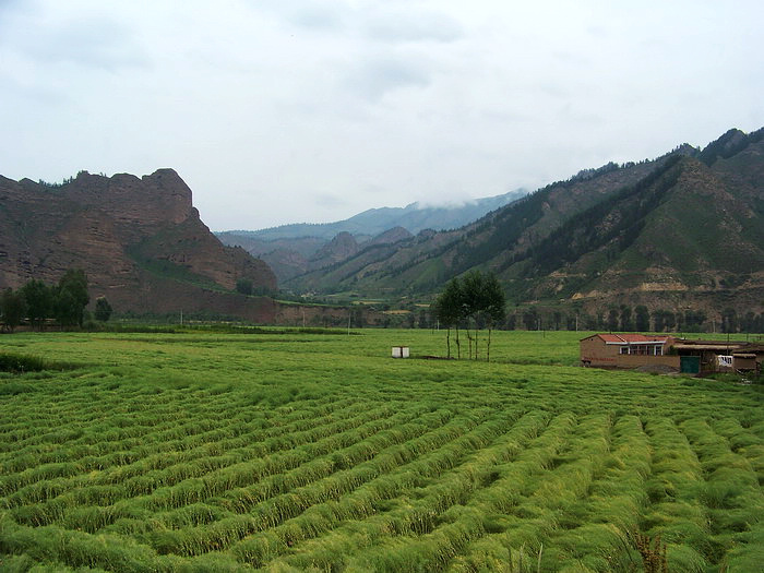 115_2086_缩小大小.JPG