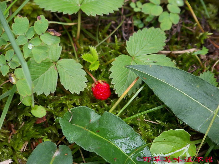 115_2117_缩小大小.jpg