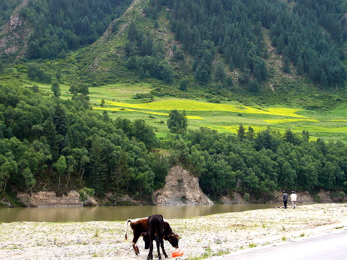 P1150332_缩小大小.JPG