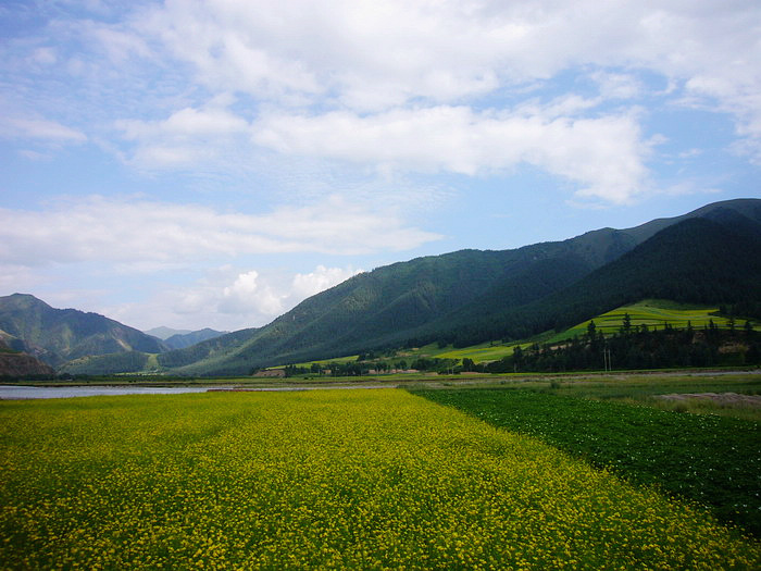P1150337_缩小大小.JPG