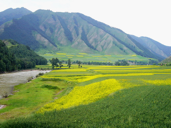 P1150336_缩小大小.JPG