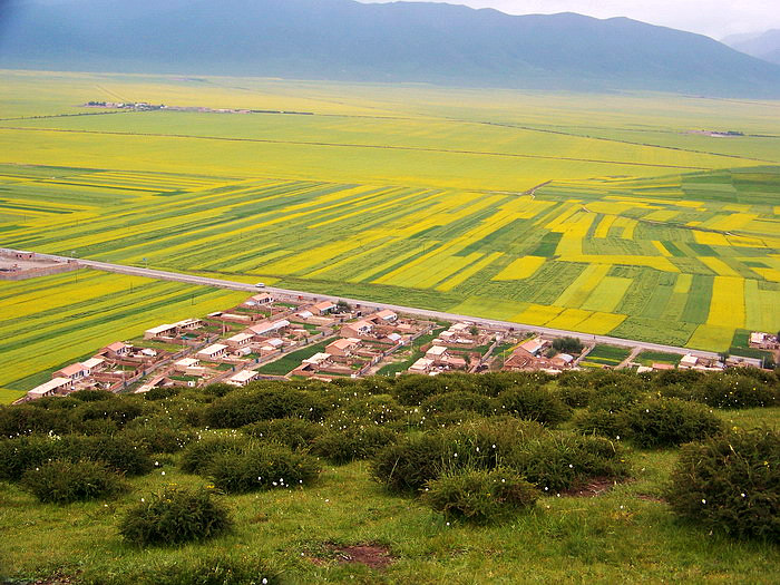 115_2276_缩小大小.JPG