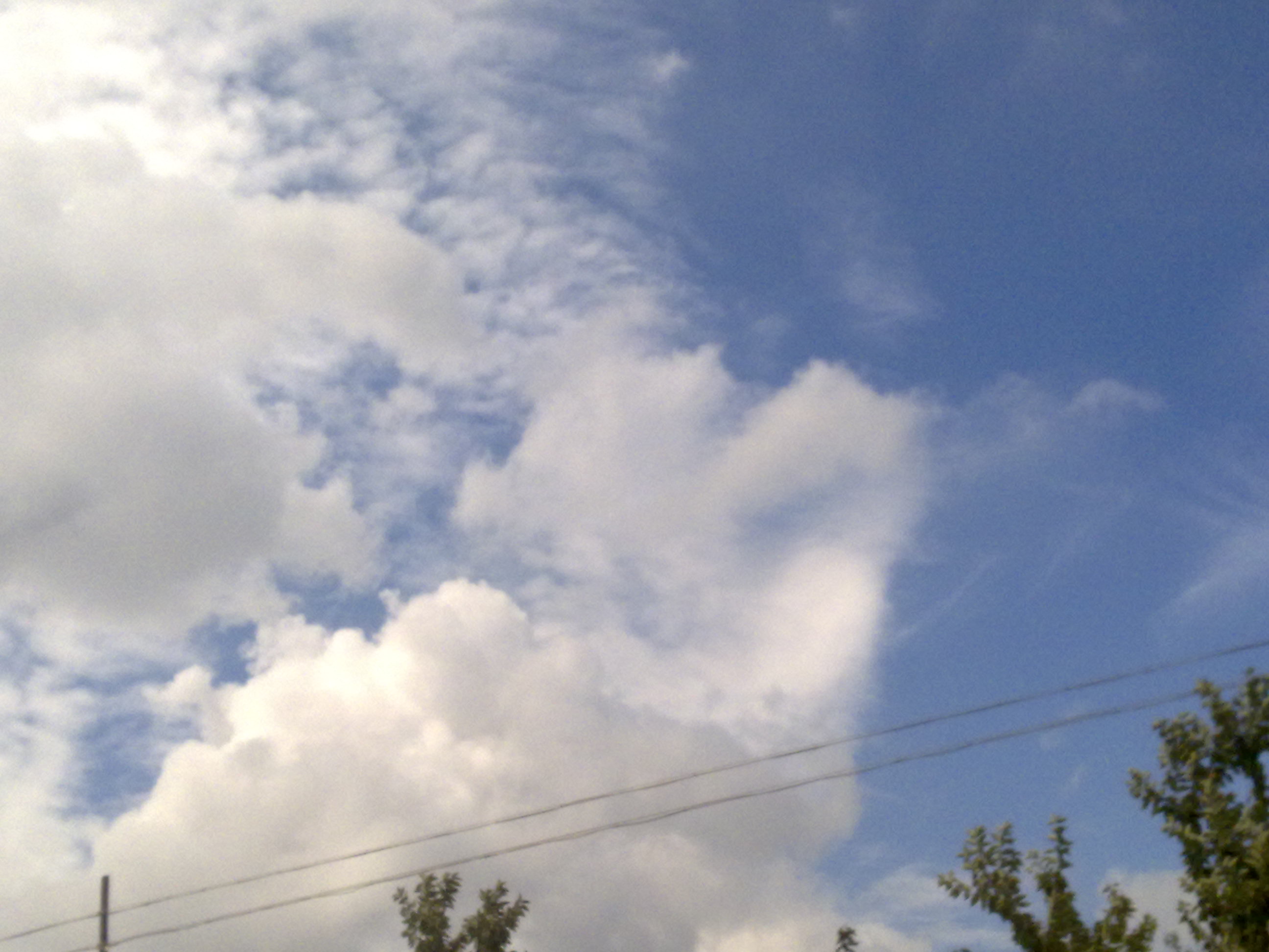 20090811049.jpg