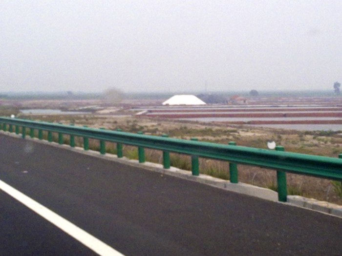 20090821066.jpg