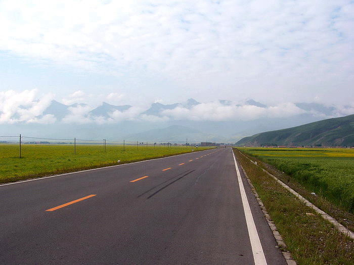 115_2317_缩小大小.JPG
