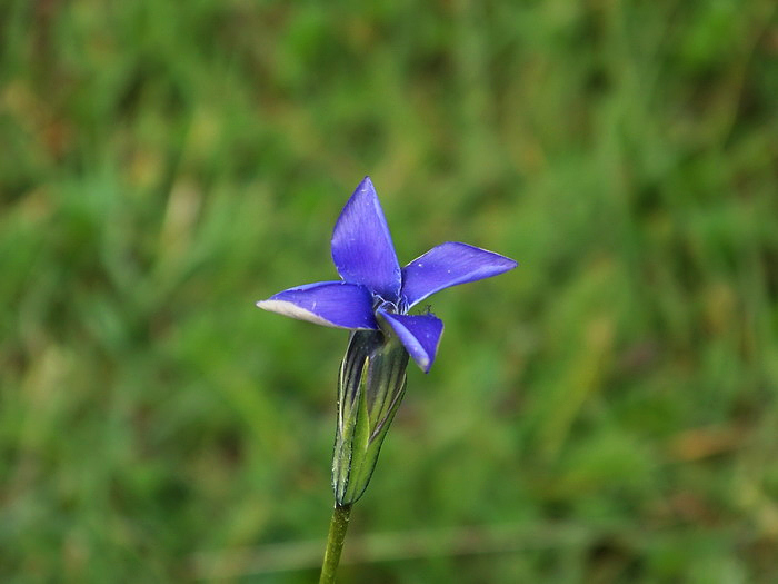 115_2410_缩小大小.JPG