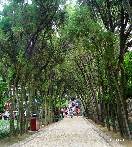 DSC04417-1.jpg