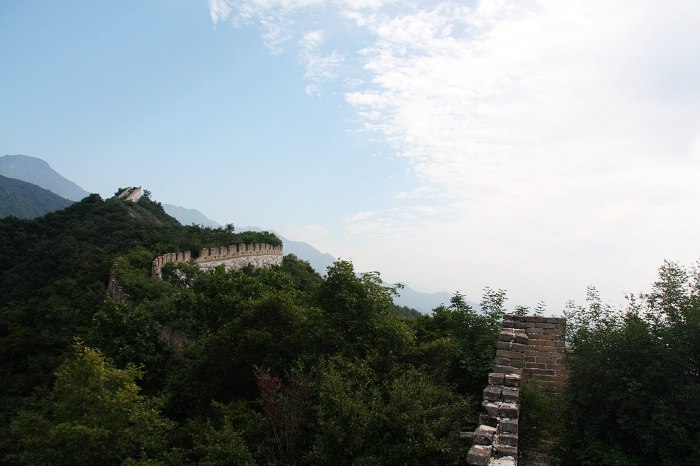 IMG_2334.jpg