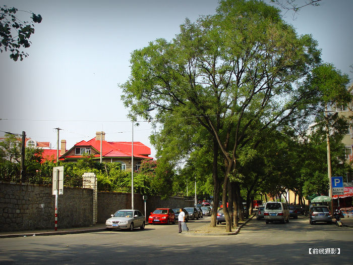 DSC04445-8.jpg