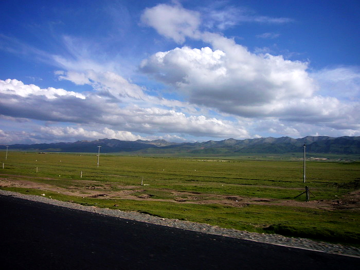 P1150739_缩小大小.JPG