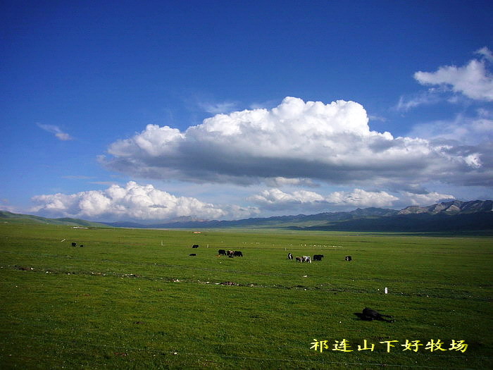 P1150734_缩小大小.jpg