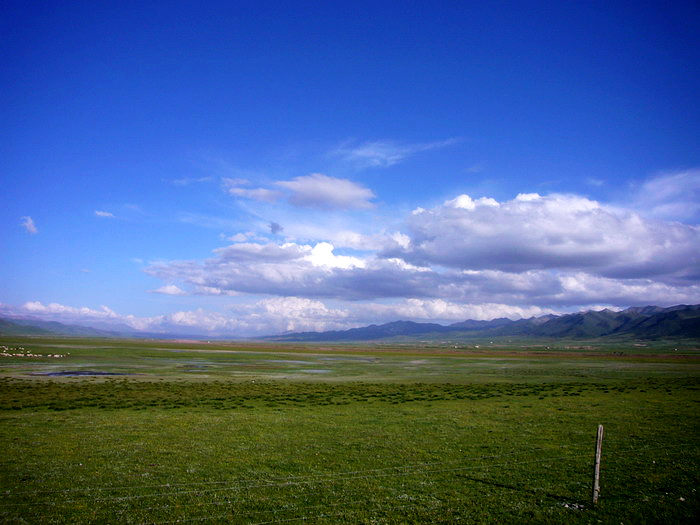P1150743_缩小大小.JPG