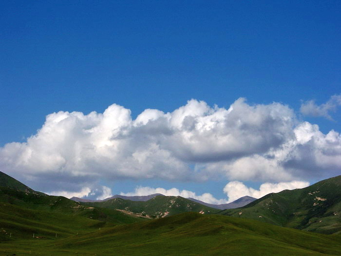 115_2774_缩小大小.jpg