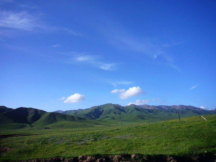 P1150763_缩小大小.JPG