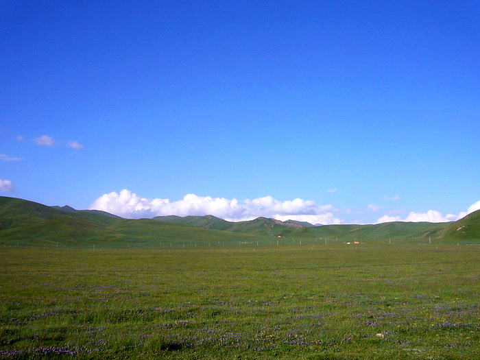 P1150756_缩小大小.JPG