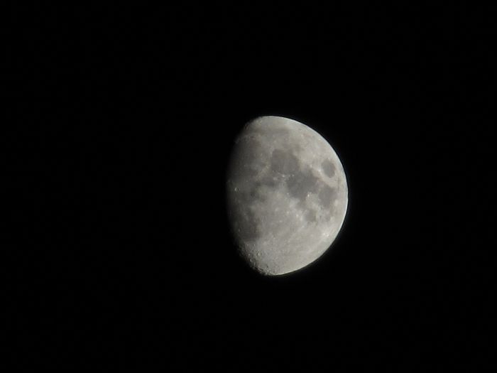 IMG_1163.JPG