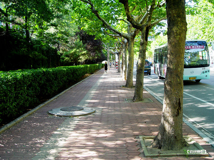 DSC04469-1.jpg