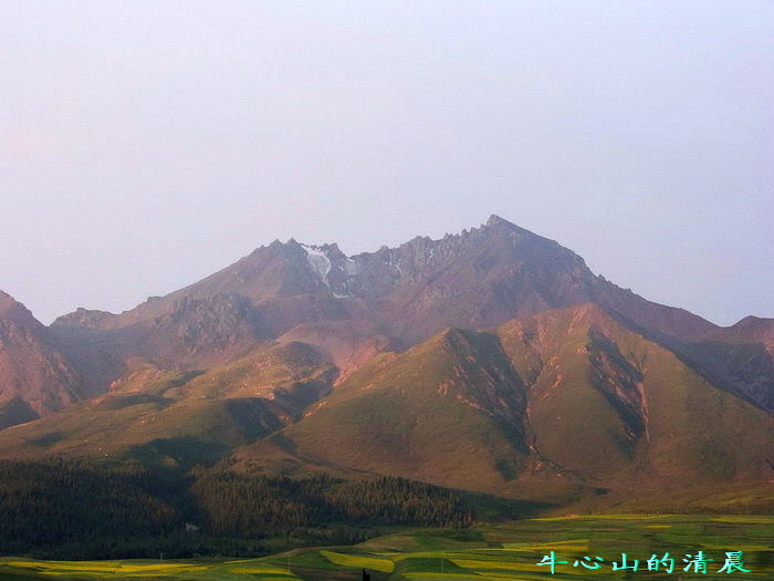 115_2817_缩小大小.jpg