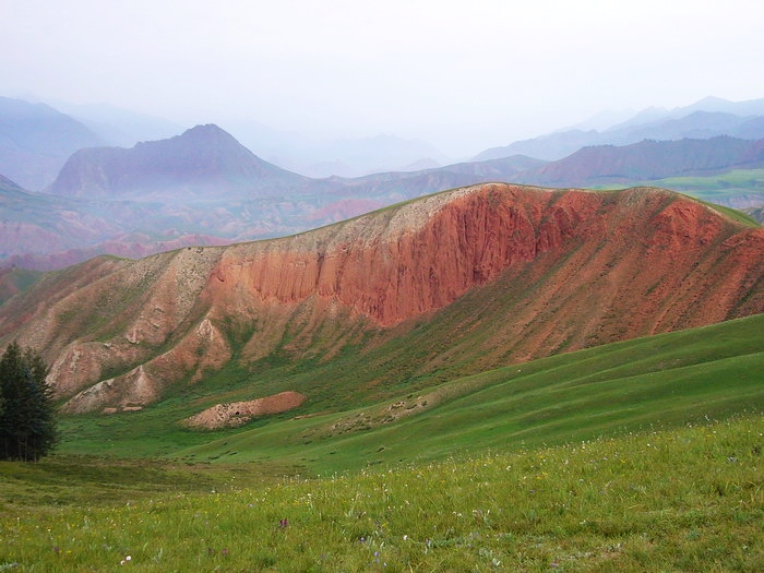 P1150842_缩小大小.JPG
