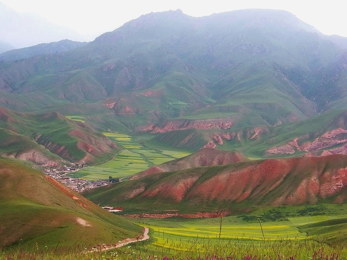 115_2872_缩小大小.JPG