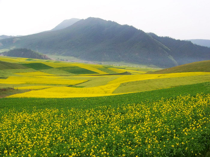 115_2876_缩小大小.JPG