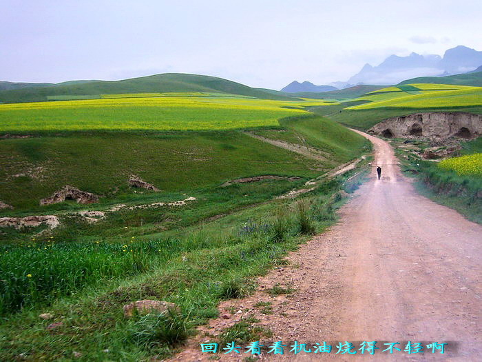 P1150885_缩小大小.jpg