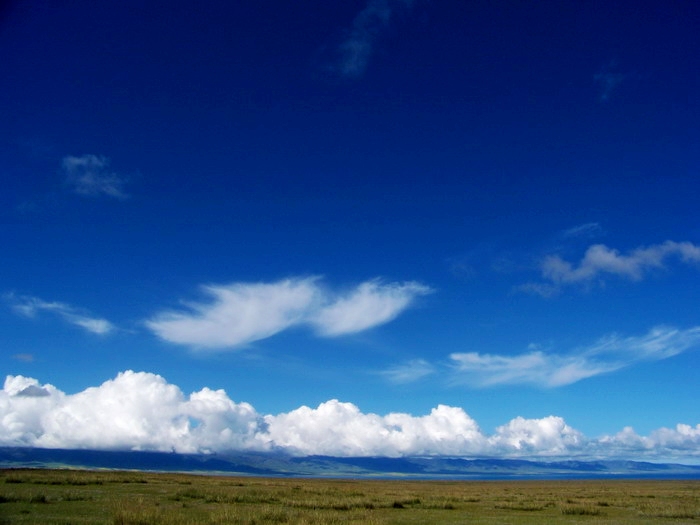 115_3177_缩小大小.JPG