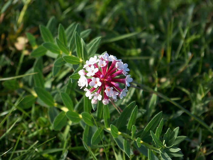 100_3345_缩小大小.JPG