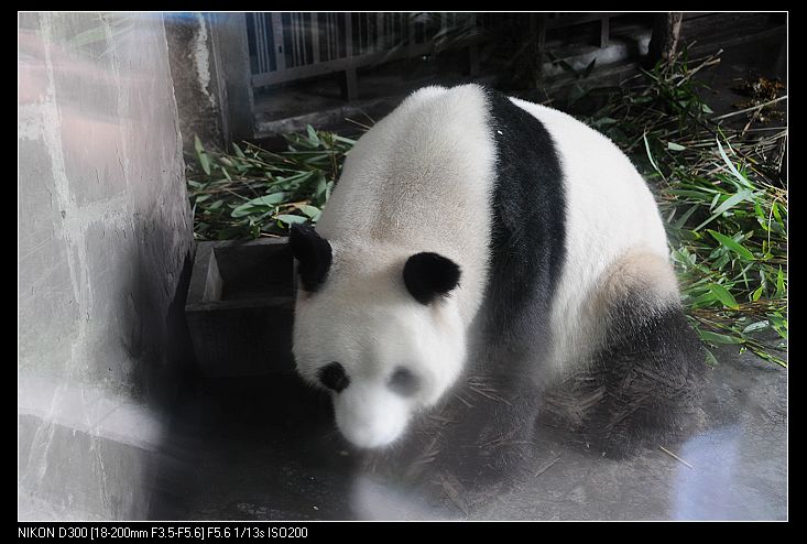 nEO_IMG_照片 1094.jpg
