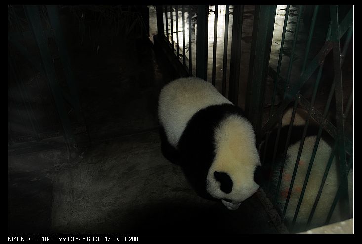 nEO_IMG_照片 1116.jpg