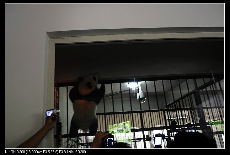 nEO_IMG_照片 1117.jpg