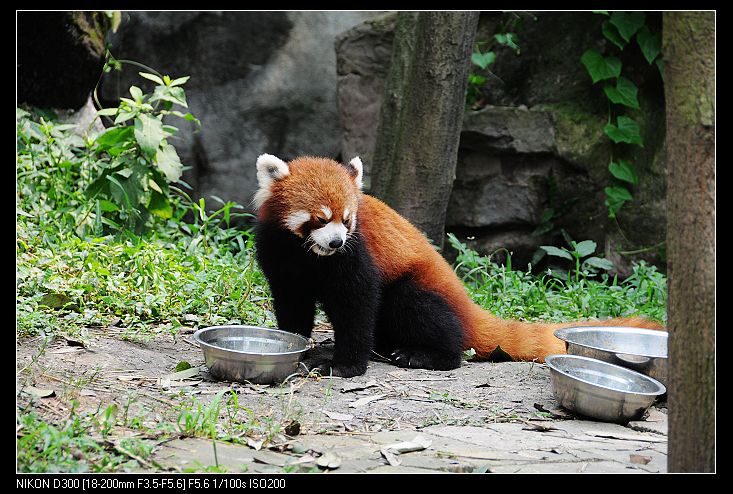nEO_IMG_照片 1123.jpg