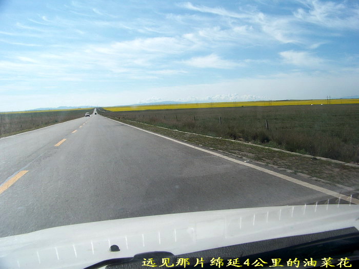 100_3420_缩小大小.jpg