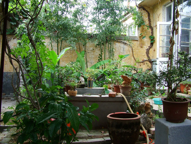DSCF4027.JPG