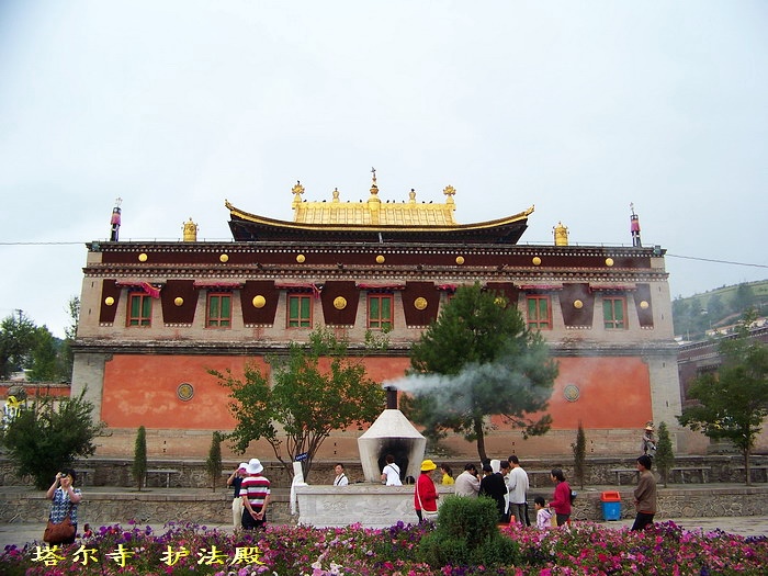 100_3451_缩小大小.jpg