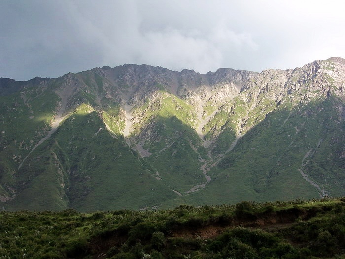 100_3723_缩小大小.jpg
