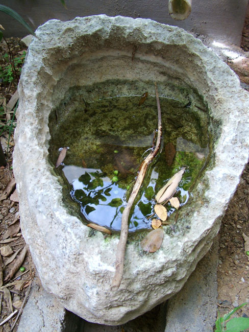 DSCF4133.JPG