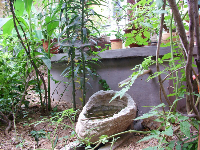 DSCF4035.JPG