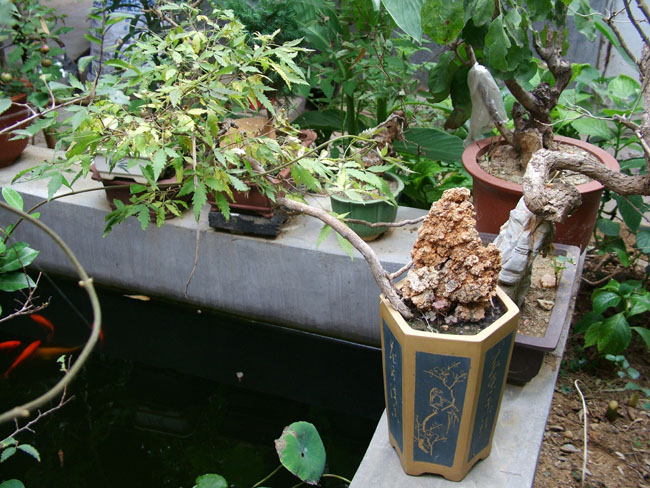 DSCF4111.JPG