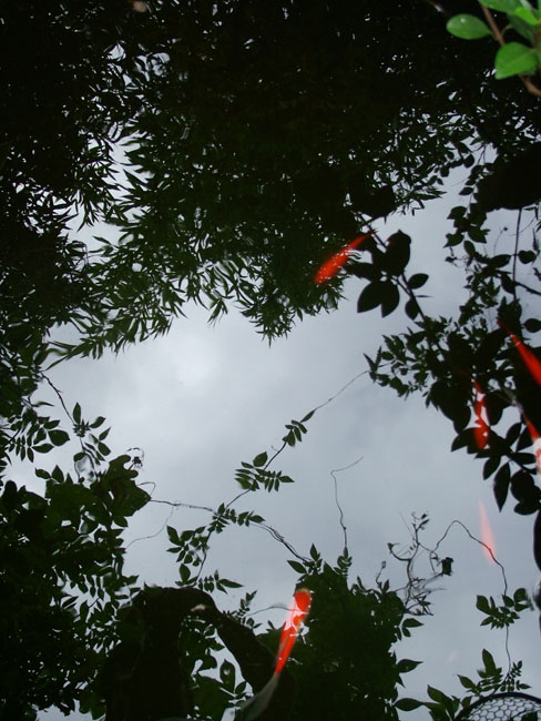 DSCF4105.JPG