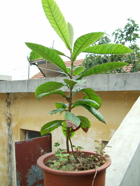 DSCF4063.JPG
